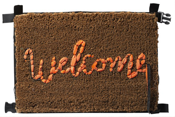 Welcome Mat